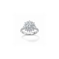 Eternal Sparkle Cluster Ring