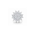 Silver Spinning Marquise Petal Bloom Statement Ring